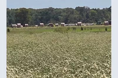 Tbd 20 Acres SE Cr 3150, Corsicana, TX 75109 - Photo 17