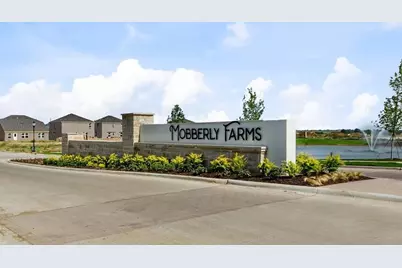 14219 Aberavon Drive, Pilot Point, TX 76258 - Photo 3