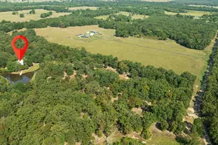 2205 County Rd 44600, Blossom, TX 75416 - Photo 1