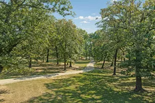 2205 County Rd 44600, Blossom, TX 75416 - Photo 3