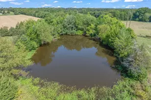 2331 Vz County Rd 3501, Wills Point, TX 75169 - Photo 39