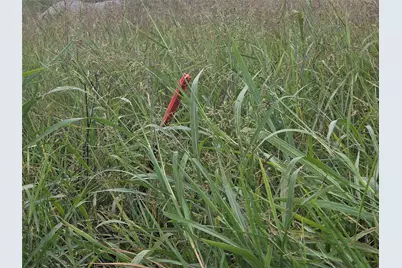 Tbd County Road 3615, Honey Grove, TX 75446 - Photo 5