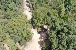 0 County Road 305, Frankston, TX 75763 - Photo 9