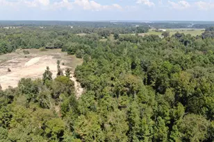 0 County Road 305, Frankston, TX 75763 - Photo 7