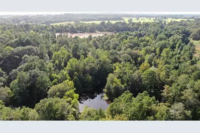 0 County Road 305, Frankston, TX 75763 - Photo 17