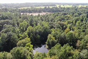 0 County Road 305, Frankston, TX 75763 - Photo 17