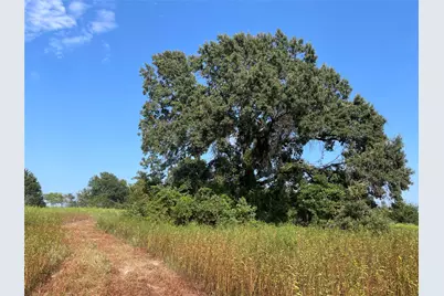 0 County Road 305, Frankston, TX 75763 - Photo 31