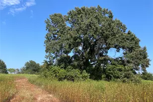0 County Road 305, Frankston, TX 75763 - Photo 31