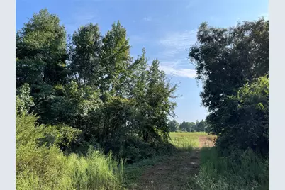 0 County Road 305, Frankston, TX 75763 - Photo 33