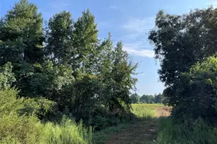 0 County Road 305, Frankston, TX 75763 - Photo 33