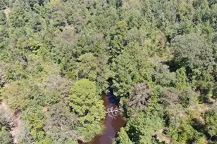 0 County Road 305, Frankston, TX 75763 - Photo 5