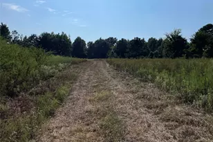 0 County Road 305, Frankston, TX 75763 - Photo 35