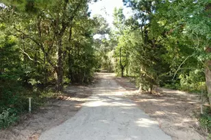 0 County Road 305, Frankston, TX 75763 - Photo 15