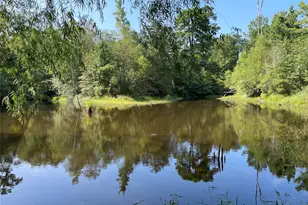 0 County Road 305, Frankston, TX 75763 - Photo 19