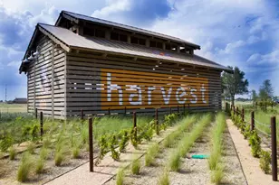 217 Lilypad Bend, Argyle, TX 76226 - Photo 35