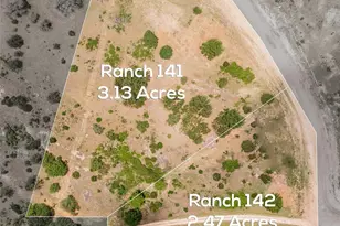 1189 Hidden Mountain Dr, Glen Rose, TX 76690 - Photo 3