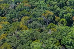 8024 County Road 204 Rd, Grandview, TX 76050 - Photo 1