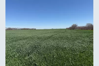 Tbd Boren Road, Collinsville, TX 76233 - Photo 5