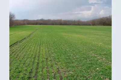 Tbd Boren Road, Collinsville, TX 76233 - Photo 3