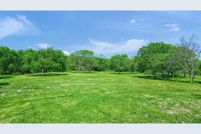 695 Mackey Road, Gunter, TX 75058 - Photo 7