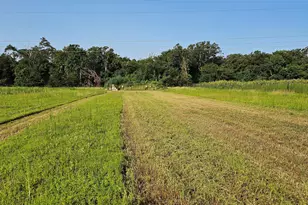 5211 VZ County Rd 1222, Grand Saline, TX 75140 - Photo 29