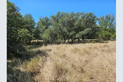 475 Overlook Ridge, Bluff Dale, TX 76433 - Photo 1