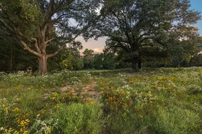 0 County Road 2615, Lamasco, TX 75488 - Photo 13