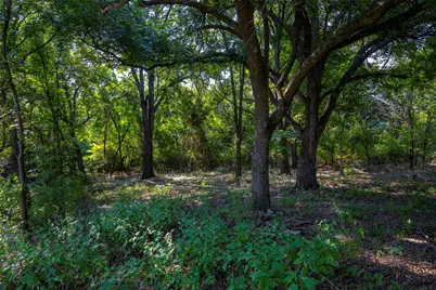 Tbd Bowie Road, Weatherford, TX 76088 - Photo 7
