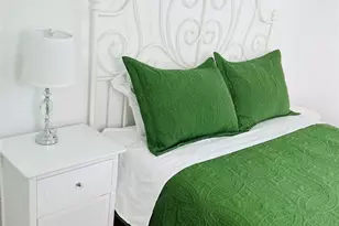 517 Chip St St, Little Elm, TX 75068 - Photo 11