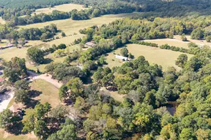 853 County Rd 2730, Pittsburg, TX 75686 - Photo 39