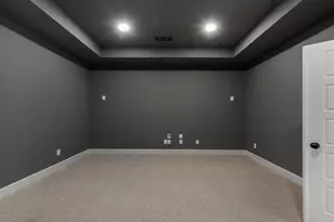 3124 Chinaberry St, Celina, TX 75009 - Photo 19