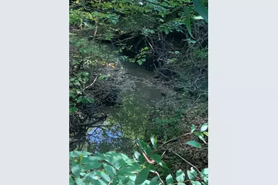 0000 Weston Road, Weston, TX 75009 - Photo 5