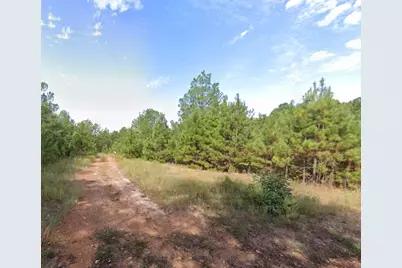 0 Jewell Gooch Road, Marshall, TX 75670 - Photo 3