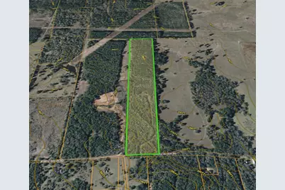 0 Jewell Gooch Road, Marshall, TX 75670 - Photo 7