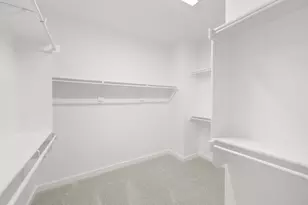 4602 White Buffalo Trl, Oak Point, TX 75068 - Photo 33