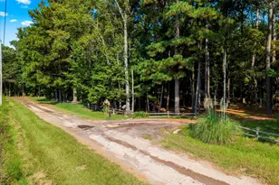 15 Cr 4896, Pittsburg, TX 75636 - Photo 17