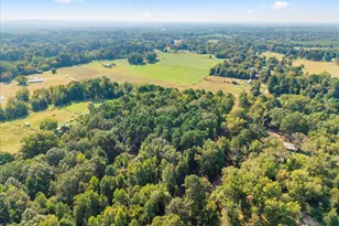 15 Cr 4896, Pittsburg, TX 75636 - Photo 15