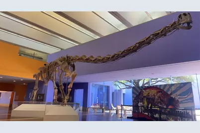 3209 Donnelly Circle #104, Fort Worth, TX 76107 - Photo 33