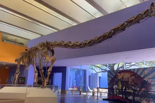 3209 Donnelly Cir, Fort Worth, TX 76107 - Photo 33