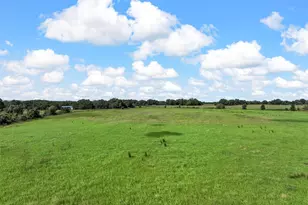 Tbd Cr 303, Glen Rose, TX 76077 - Photo 7