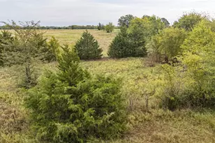 2851 Vz County Rd 3501, Wills Point, TX 75169 - Photo 5