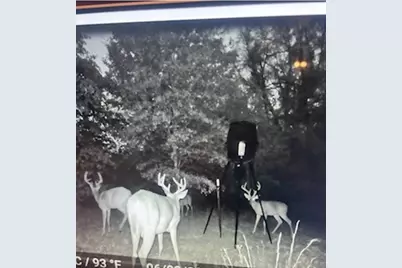 9515 County Road 114, Kaufman, TX 75142 - Photo 5