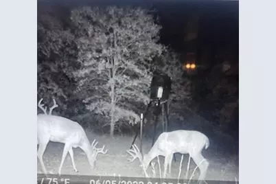 9515 County Road 114, Kaufman, TX 75142 - Photo 7