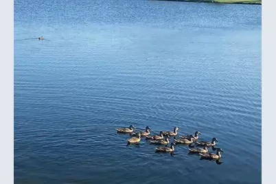 14404 Home Trail, Fort Worth, TX 76262 - Photo 33