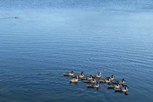 14404 Home Trl, Fort Worth, TX 76262 - Photo 33