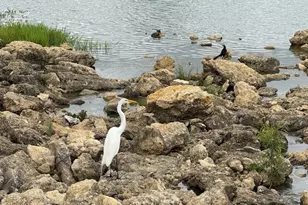 14404 Home Trl, Fort Worth, TX 76262 - Photo 35