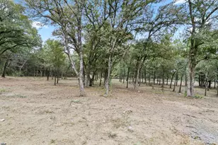 421 SW Co Rd 3050, Purdon, TX 76679 - Photo 31