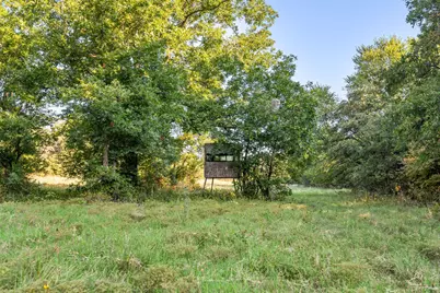 3773 Cottonwood Creek Road, Saint Jo, TX 76265 - Photo 5