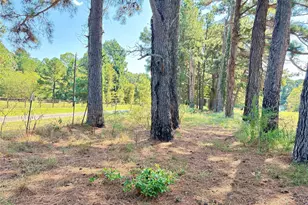 1468 Vz County Rd 4207, Canton, TX 75103 - Photo 21