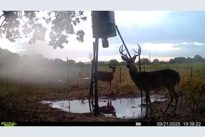 1685 Rocky Mound Road, Graham, TX 76450 - Photo 37